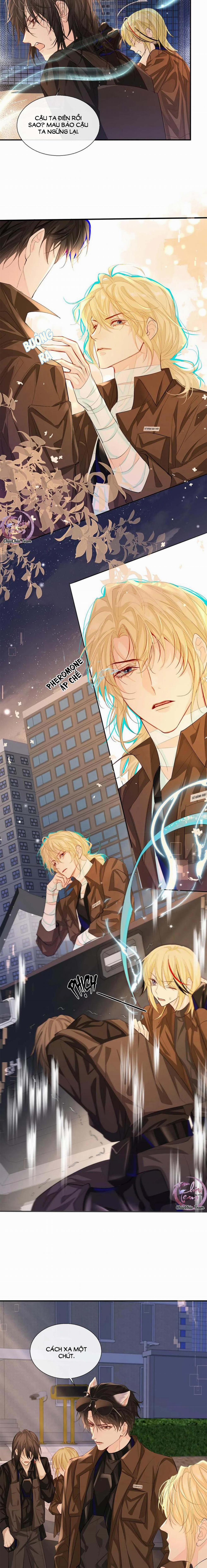 Rơi Vào Bẫy Nhân Ngư 11 trang 1