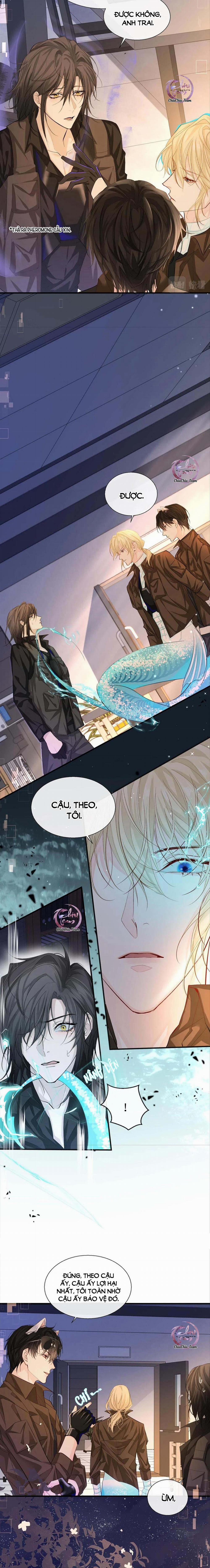 Rơi Vào Bẫy Nhân Ngư 12 trang 1