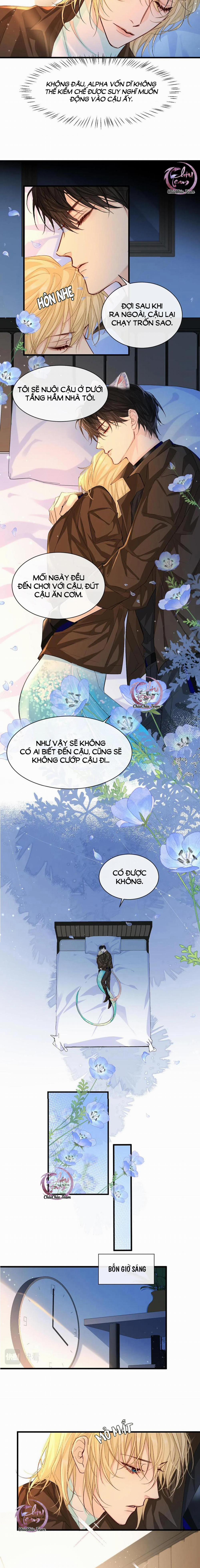 Rơi Vào Bẫy Nhân Ngư 15 trang 3