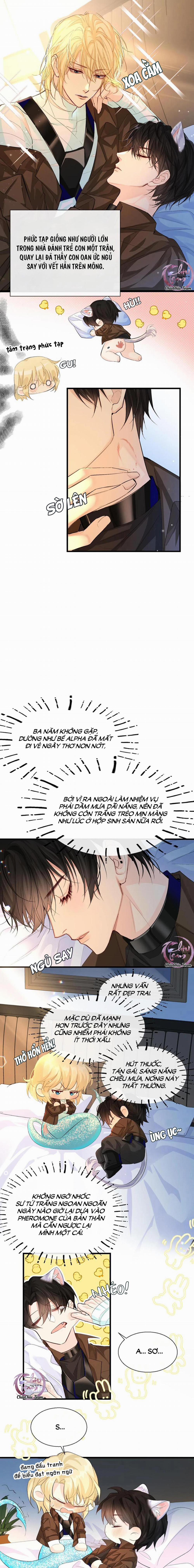 Rơi Vào Bẫy Nhân Ngư 15 trang 4