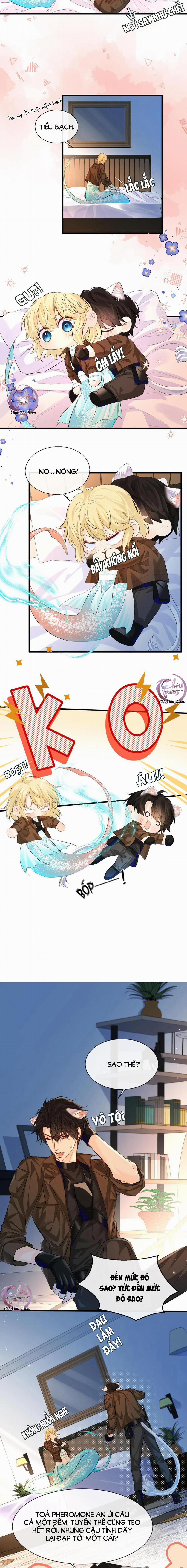 Rơi Vào Bẫy Nhân Ngư 15 trang 5