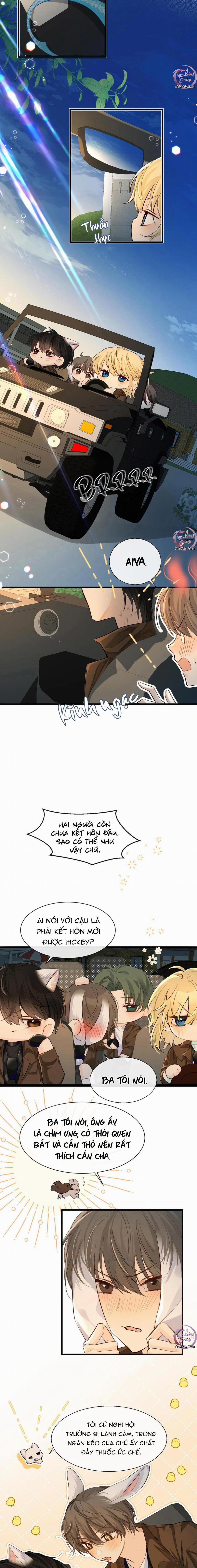 Rơi Vào Bẫy Nhân Ngư 16 trang 3