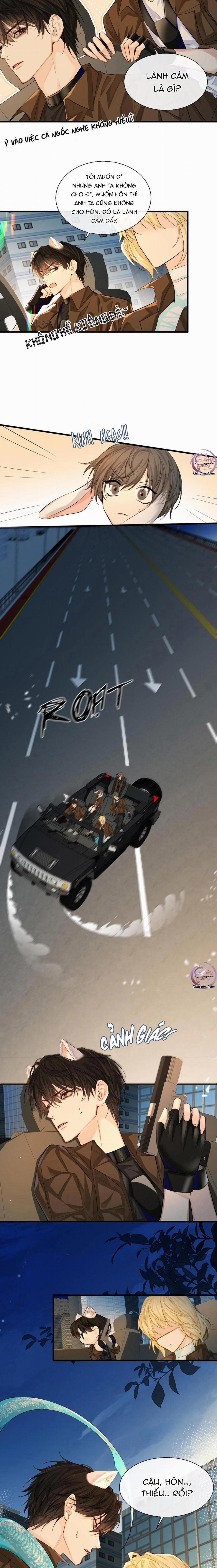 Rơi Vào Bẫy Nhân Ngư 16 trang 4