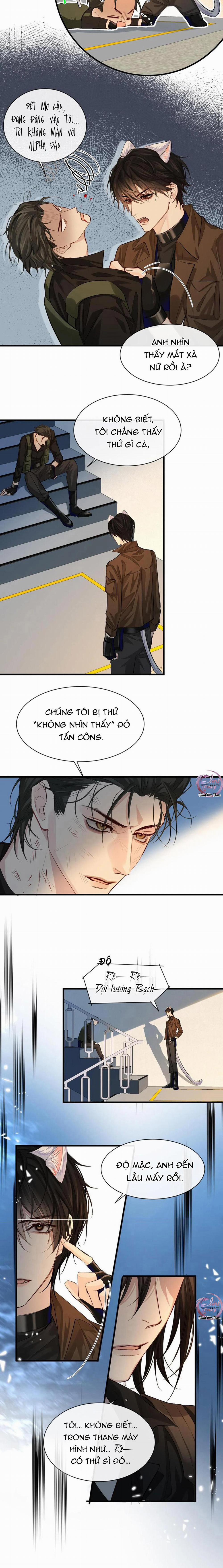 Rơi Vào Bẫy Nhân Ngư 16 trang 7