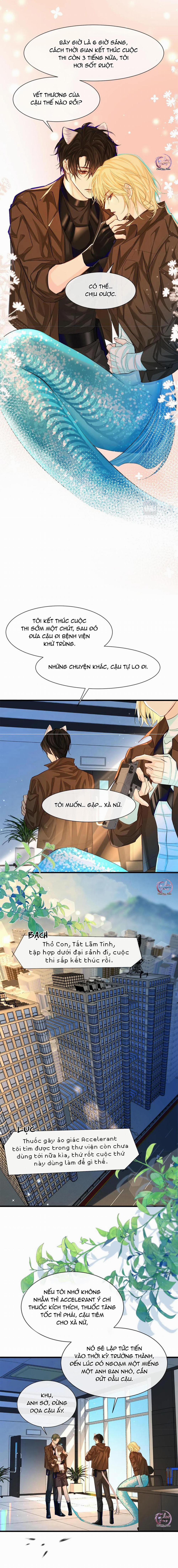 Rơi Vào Bẫy Nhân Ngư 17 trang 3