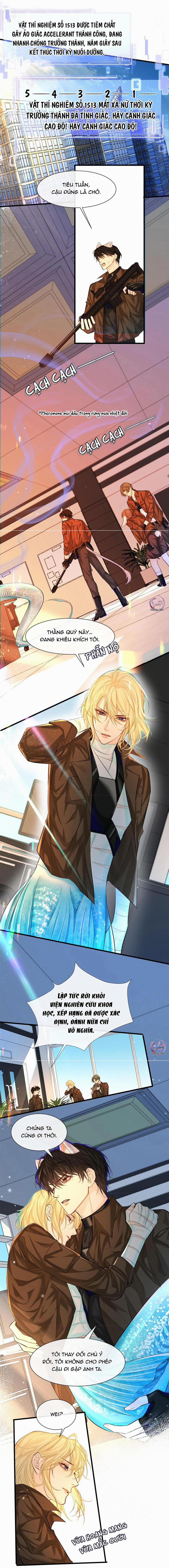 Rơi Vào Bẫy Nhân Ngư 17 trang 5