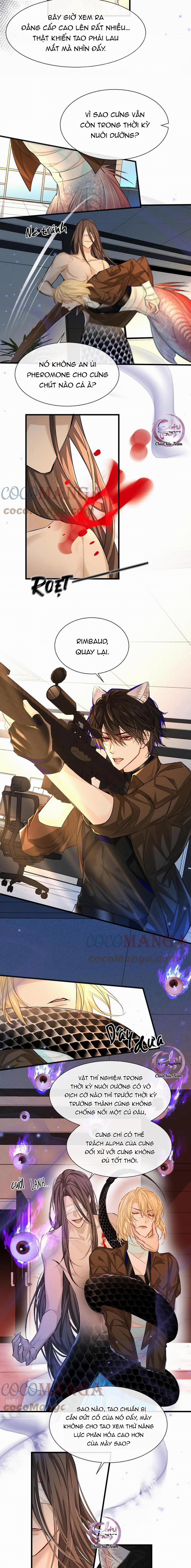 Rơi Vào Bẫy Nhân Ngư 18 trang 3