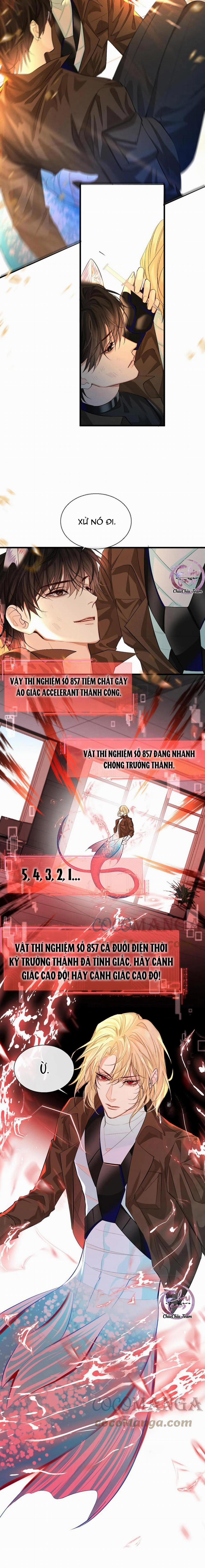 Rơi Vào Bẫy Nhân Ngư 18 trang 6