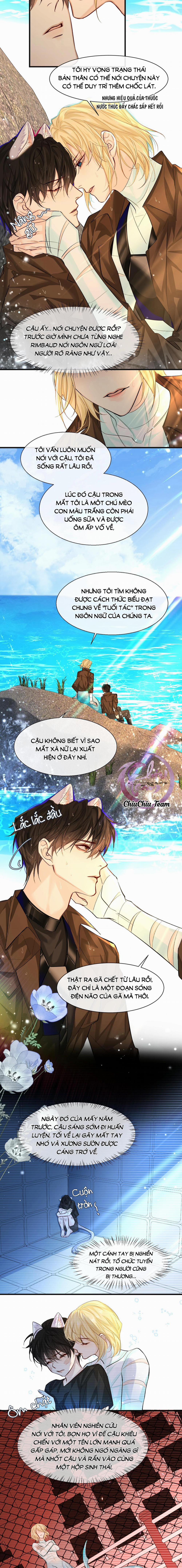 Rơi Vào Bẫy Nhân Ngư 19 trang 5