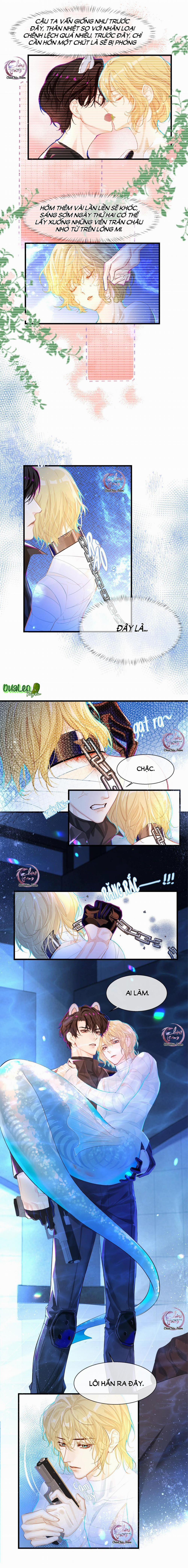 Rơi Vào Bẫy Nhân Ngư 2 trang 1