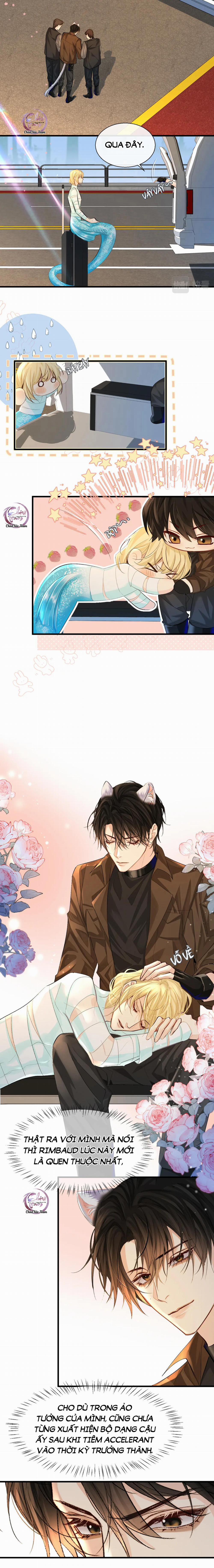 Rơi Vào Bẫy Nhân Ngư 22 trang 2