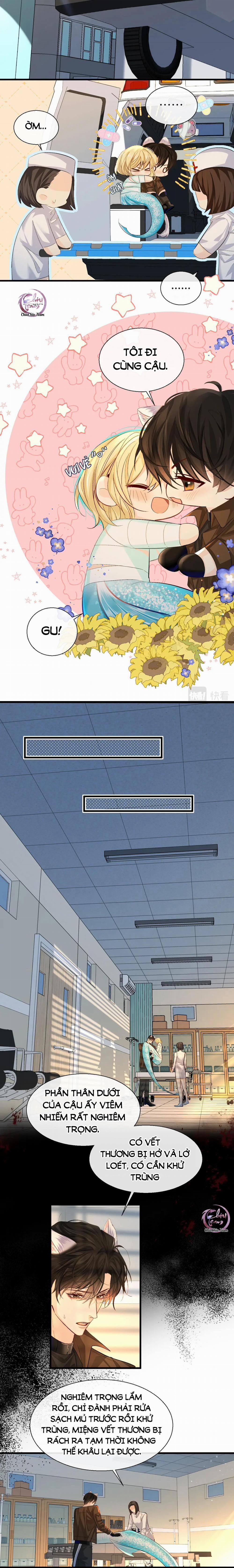 Rơi Vào Bẫy Nhân Ngư 22 trang 6