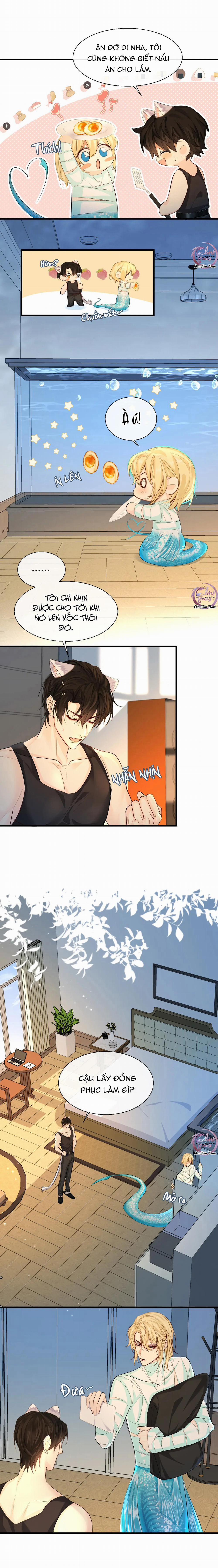 Rơi Vào Bẫy Nhân Ngư 24 trang 2