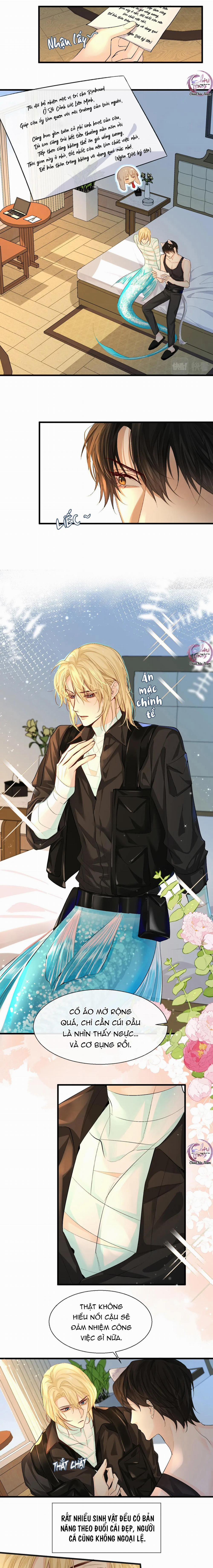 Rơi Vào Bẫy Nhân Ngư 24 trang 3