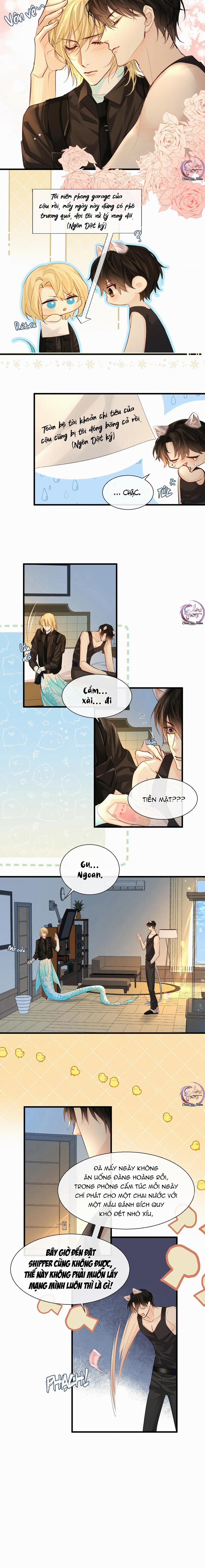 Rơi Vào Bẫy Nhân Ngư 24 trang 5