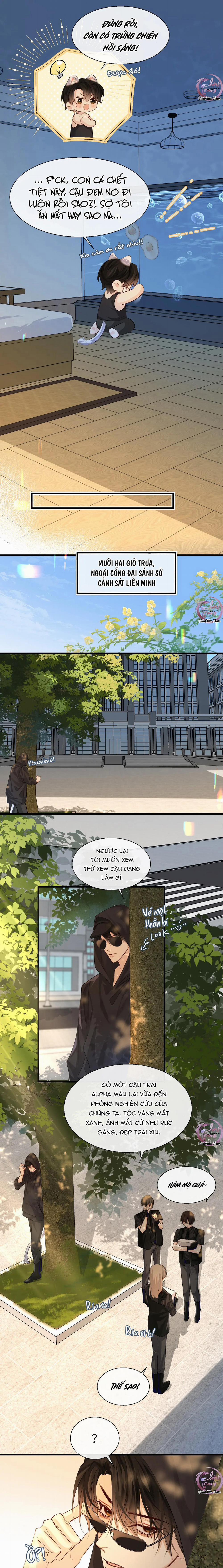 Rơi Vào Bẫy Nhân Ngư 24 trang 6