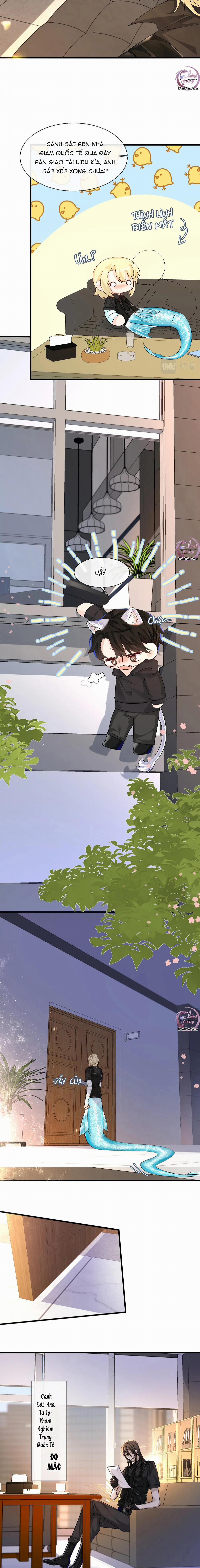 Rơi Vào Bẫy Nhân Ngư 26 trang 3