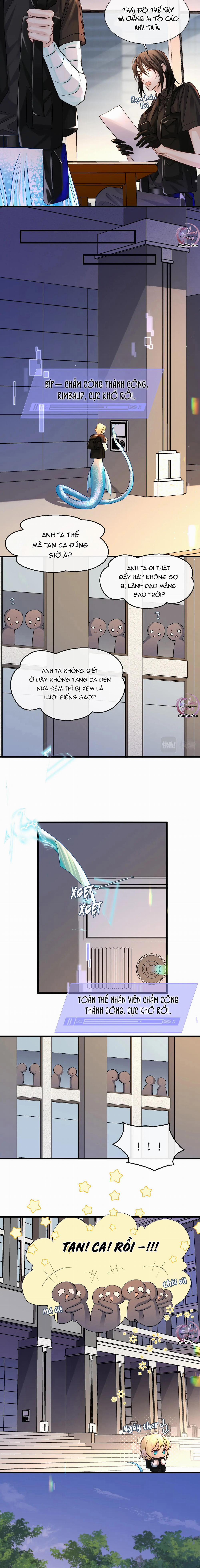 Rơi Vào Bẫy Nhân Ngư 26 trang 5