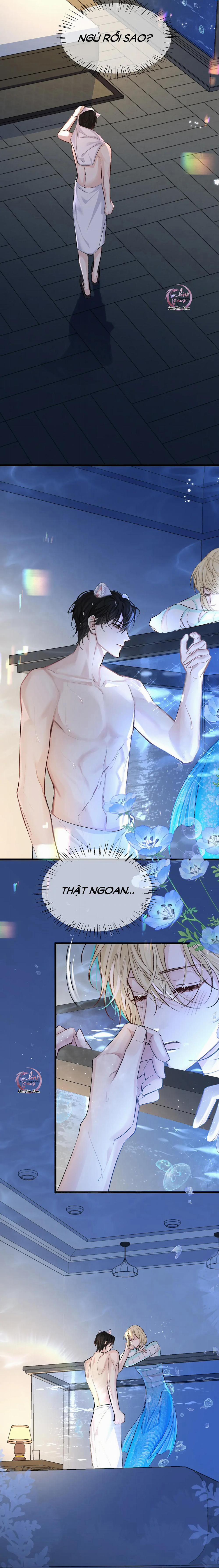 Rơi Vào Bẫy Nhân Ngư 27 trang 4