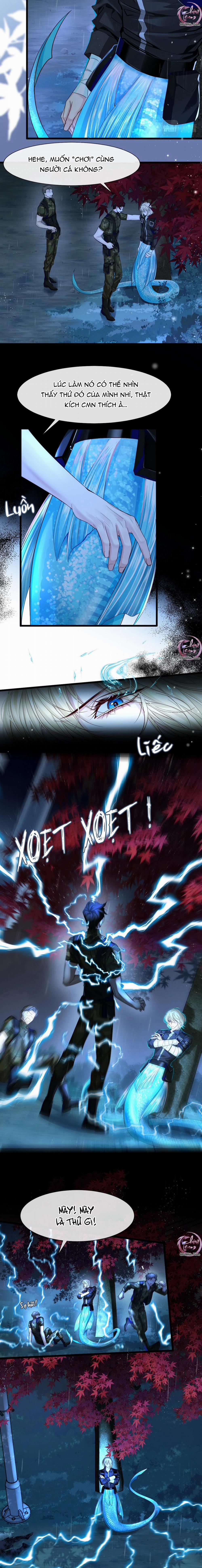 Rơi Vào Bẫy Nhân Ngư 29 trang 3