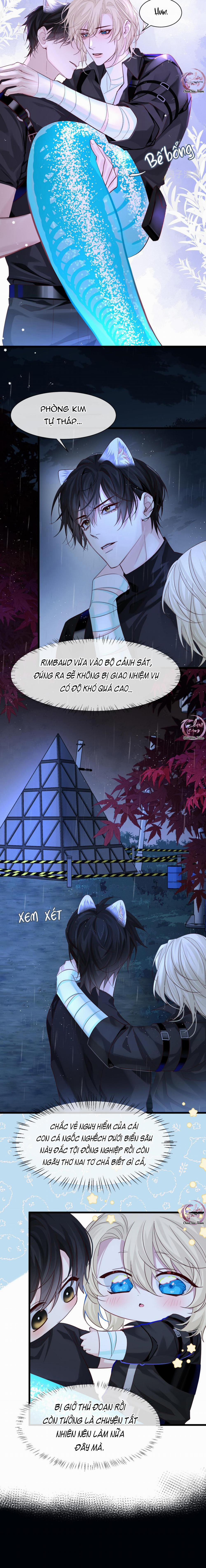 Rơi Vào Bẫy Nhân Ngư 29 trang 6