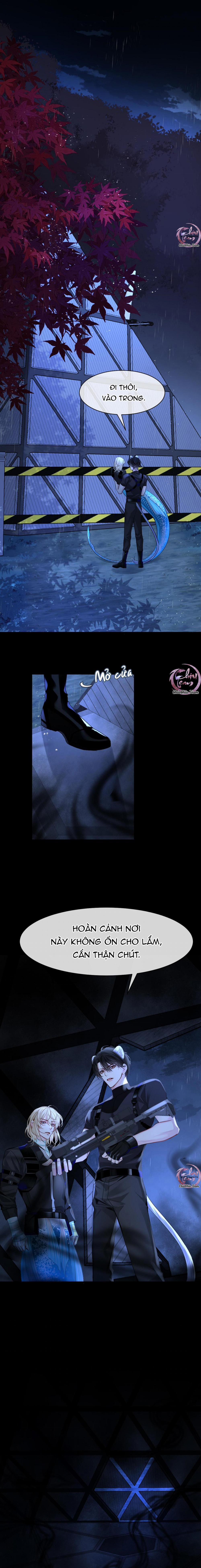 Rơi Vào Bẫy Nhân Ngư 29 trang 7