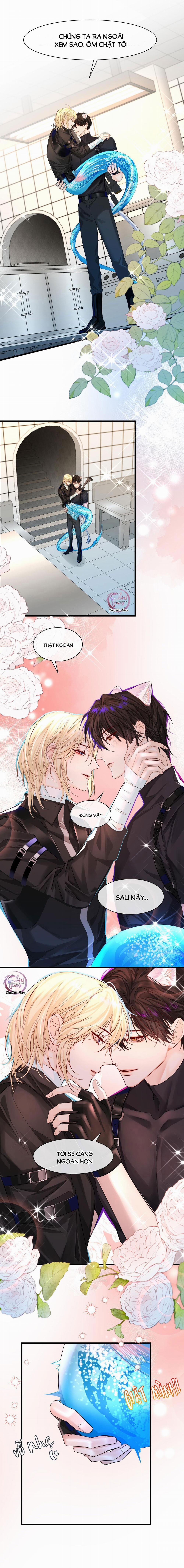 Rơi Vào Bẫy Nhân Ngư 34 trang 7