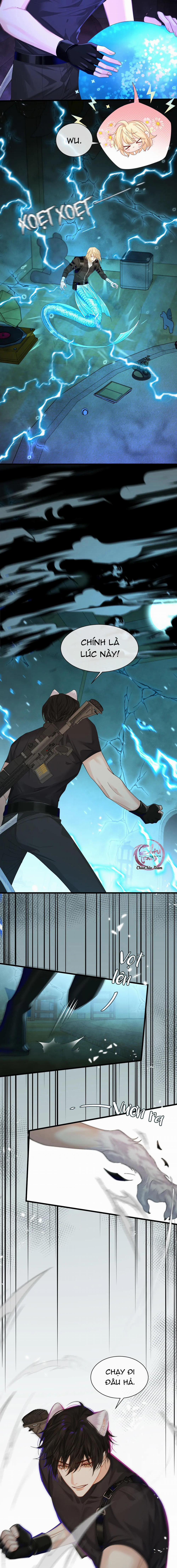 Rơi Vào Bẫy Nhân Ngư 37 trang 5