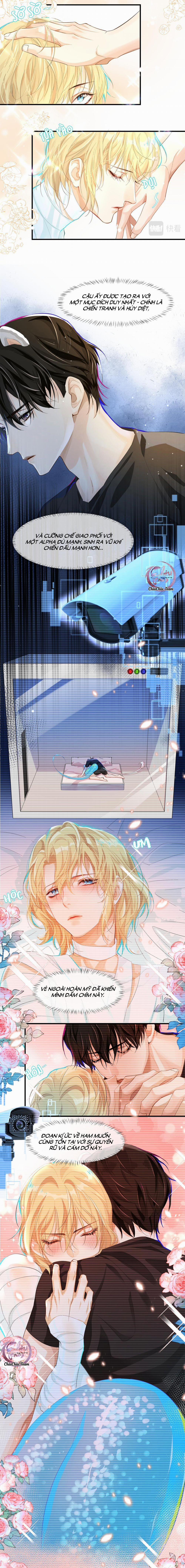 Rơi Vào Bẫy Nhân Ngư 4 trang 4