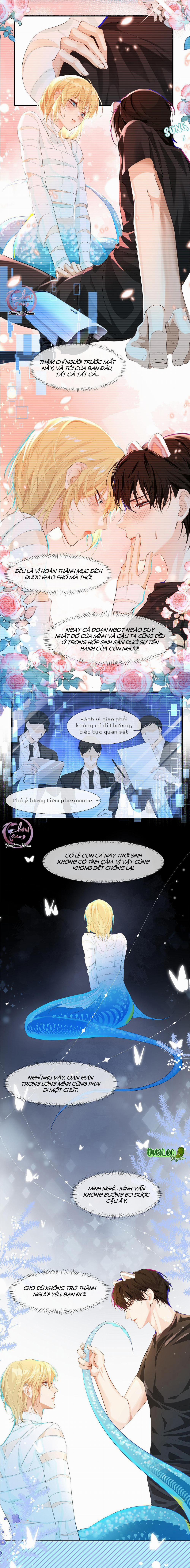 Rơi Vào Bẫy Nhân Ngư 4 trang 5