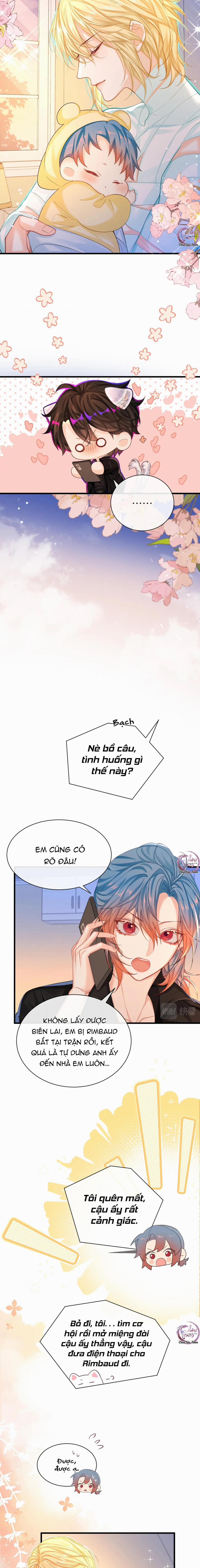 Rơi Vào Bẫy Nhân Ngư 43 trang 1