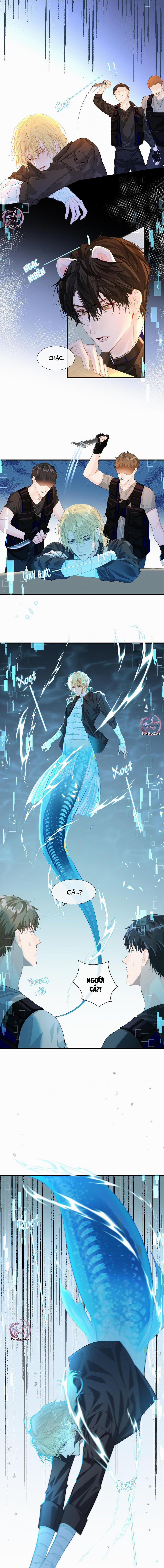 Rơi Vào Bẫy Nhân Ngư 5 trang 7