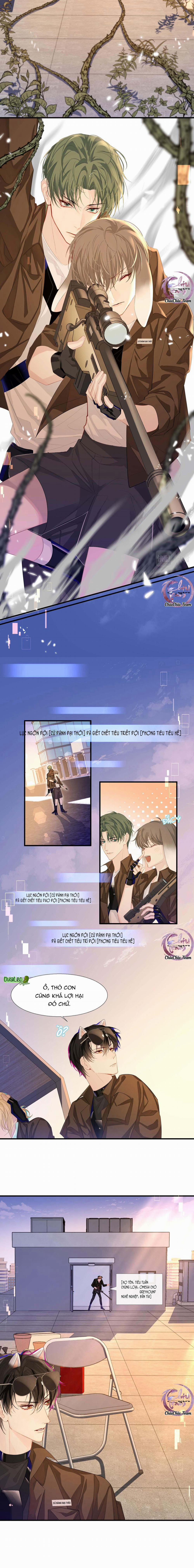 Rơi Vào Bẫy Nhân Ngư 8 trang 3