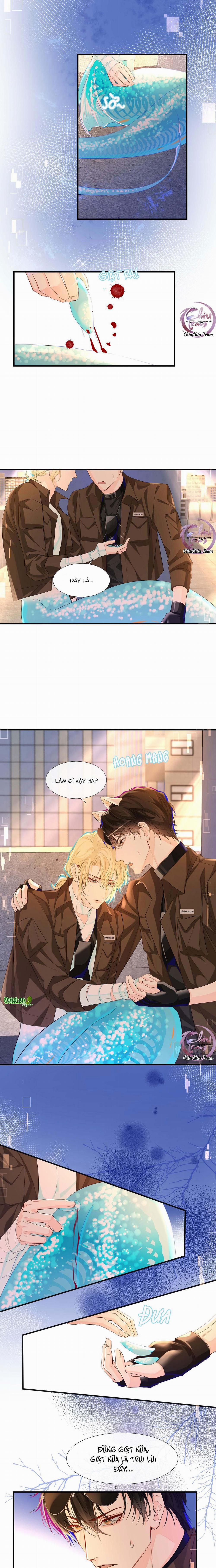 Rơi Vào Bẫy Nhân Ngư 8 trang 7