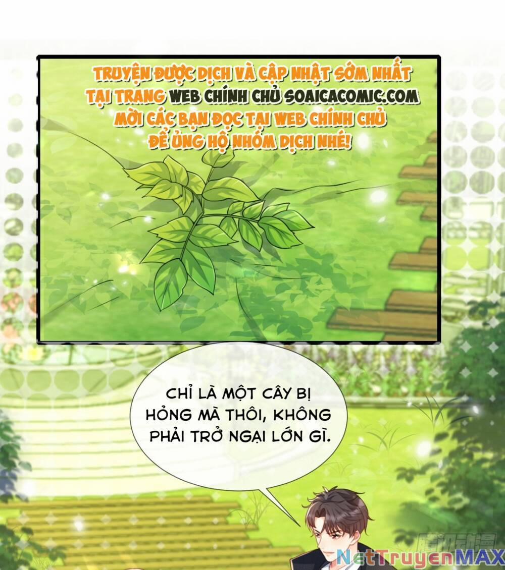 Rơi Vào Tay Bạo Chúa 21 trang 25