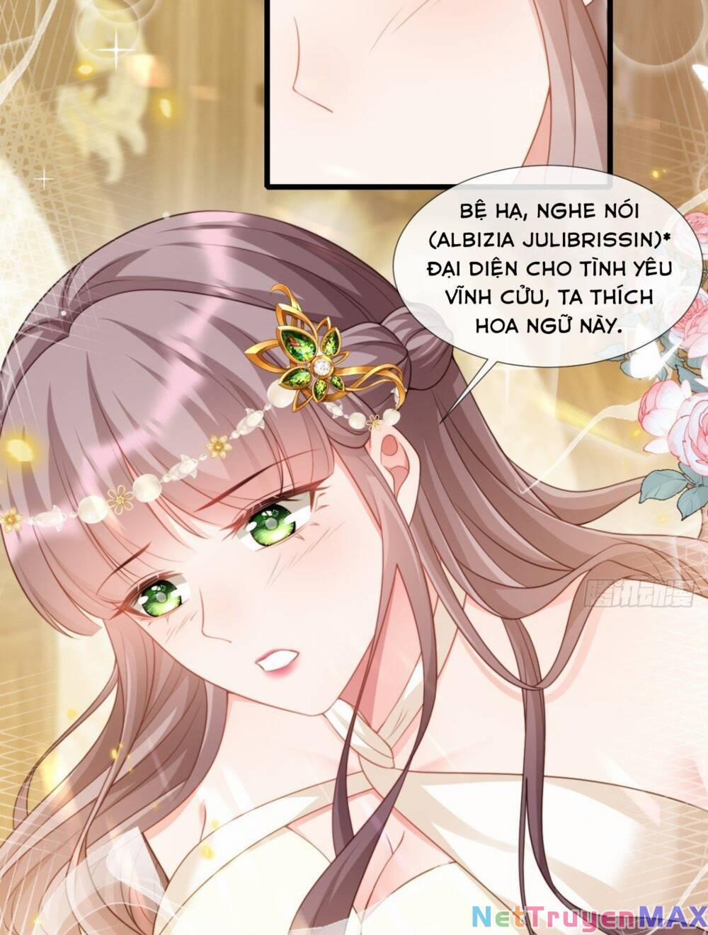 Rơi Vào Tay Bạo Chúa 23 trang 15