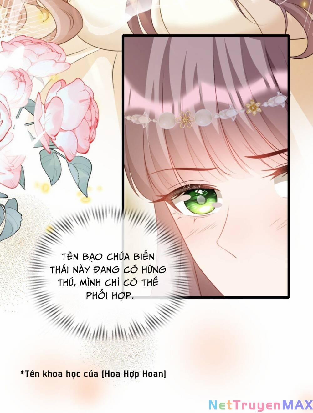 Rơi Vào Tay Bạo Chúa 23 trang 16