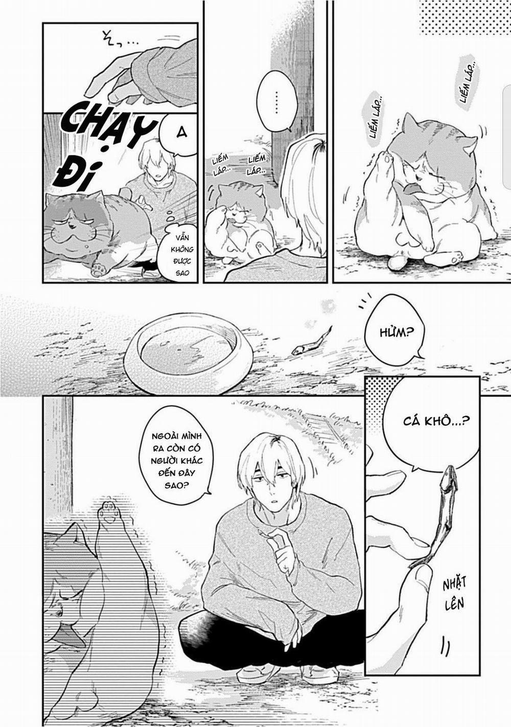 Romeo và Juliet Phiên Bản BL 1 trang 11