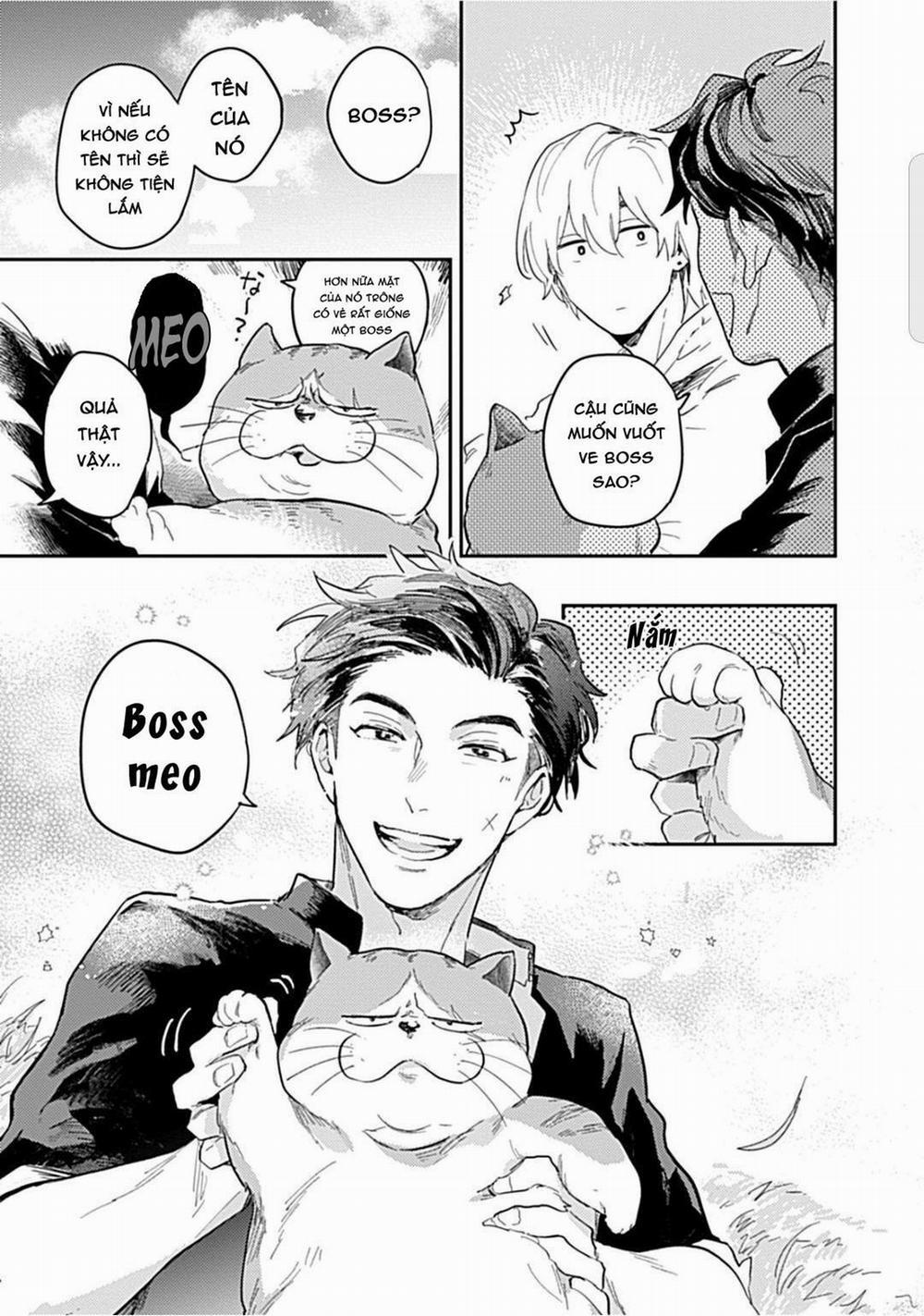 Romeo và Juliet Phiên Bản BL 1 trang 22