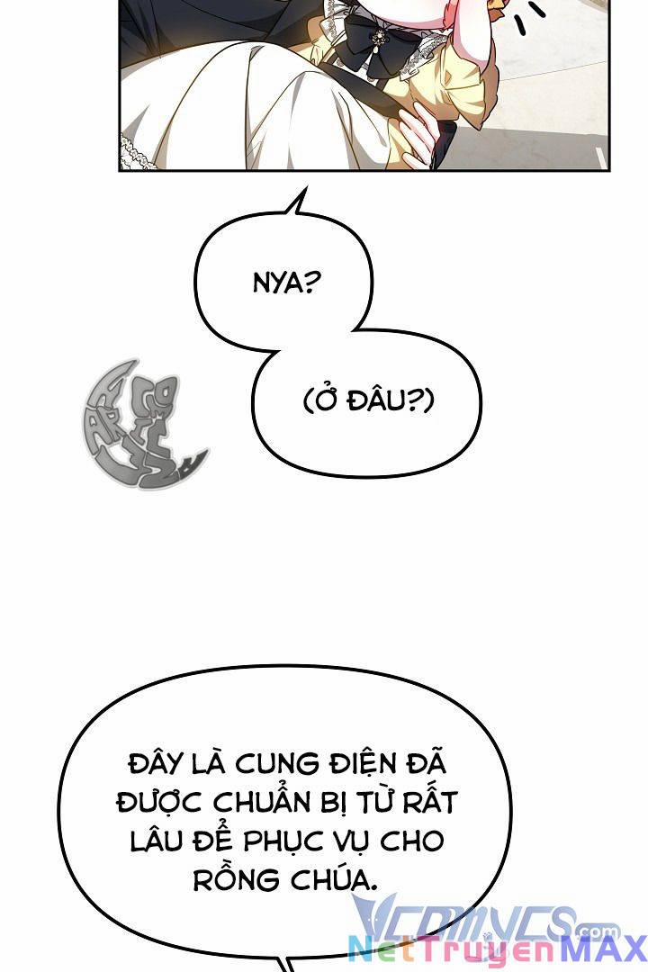 Rồng Con Thuần Hóa Những Kẻ Điên Rồ 15 trang 52