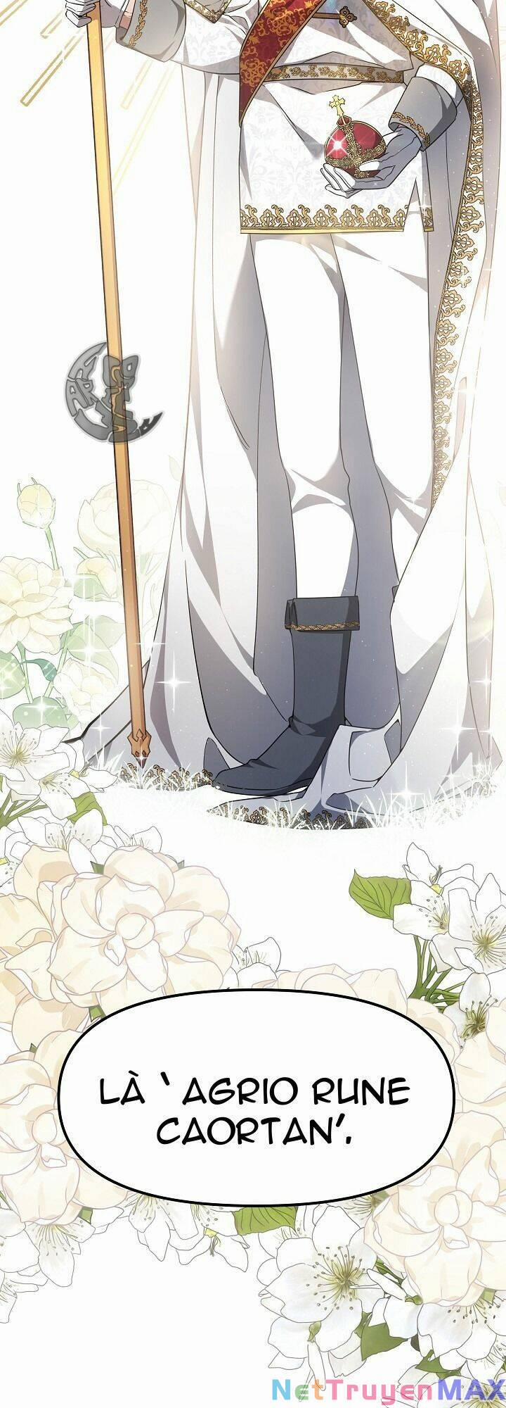 Rồng Con Thuần Hóa Những Kẻ Điên Rồ 4 trang 25