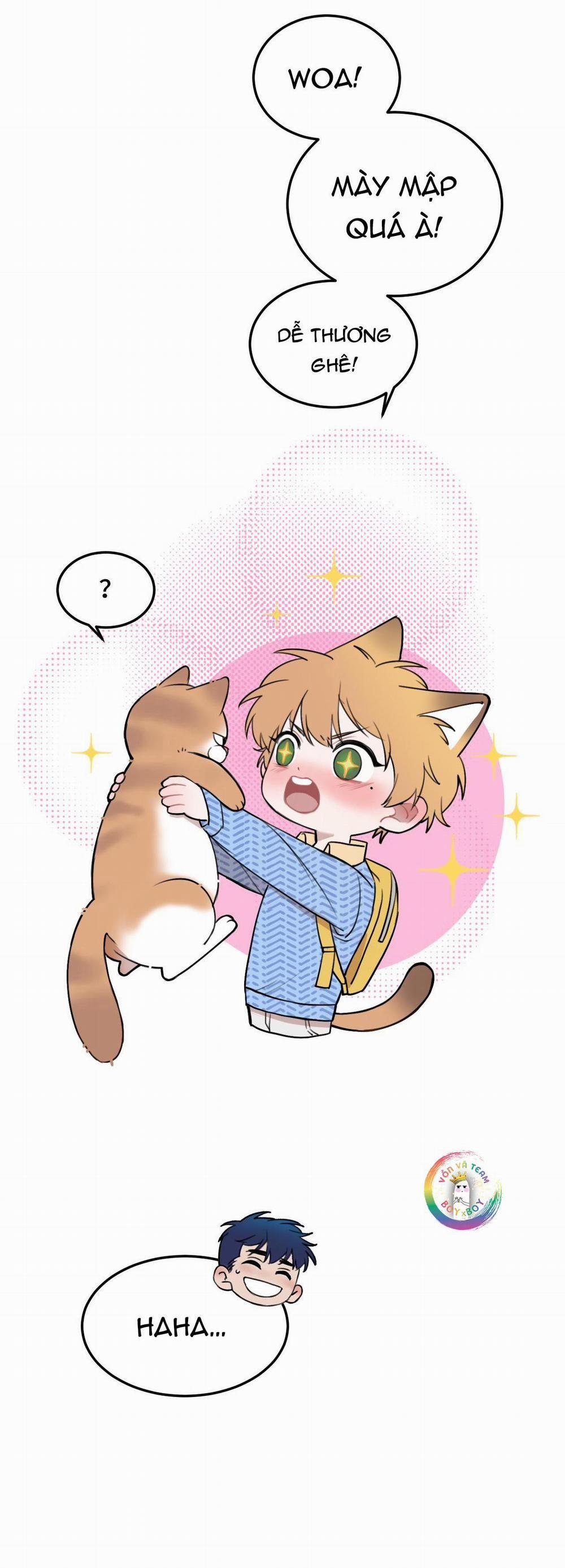 Rốt Cuộc Mèo Con Đang Nghĩ Gì Thế? 11 trang 6