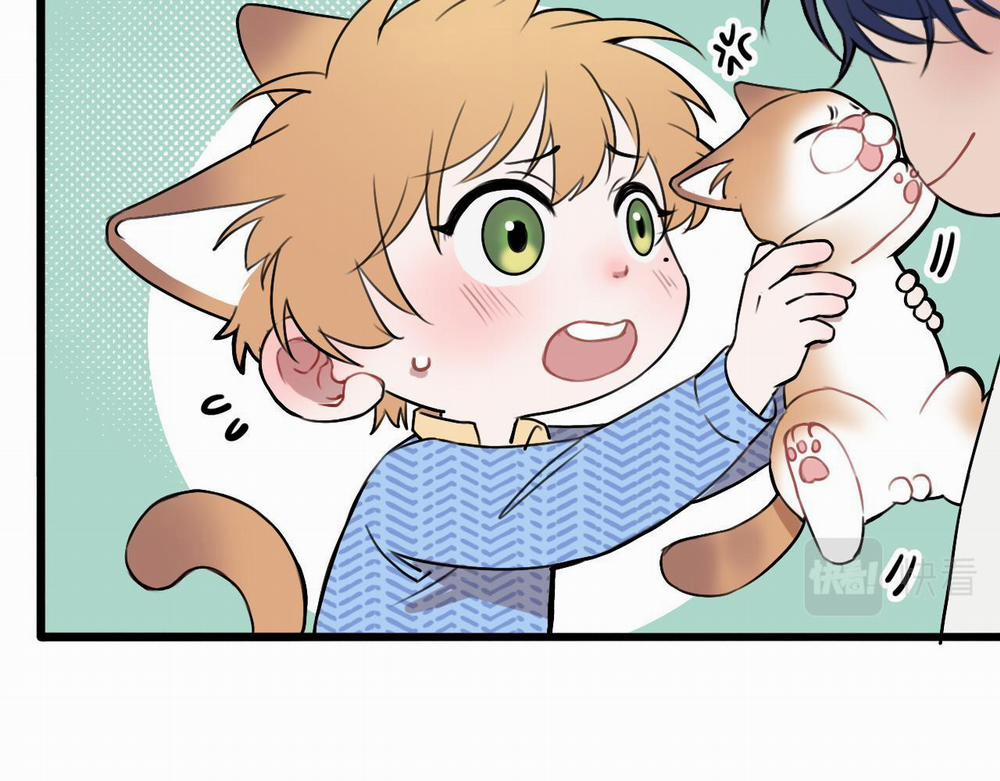 Rốt Cuộc Mèo Con Đang Nghĩ Gì Thế? 12 trang 5