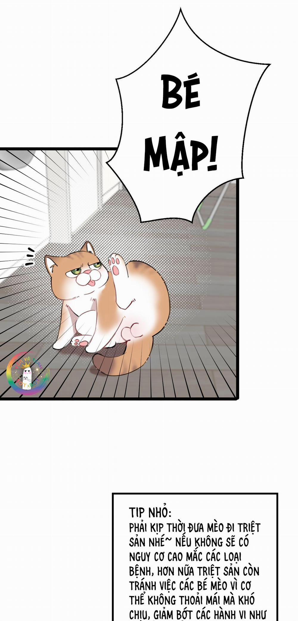 Rốt Cuộc Mèo Con Đang Nghĩ Gì Thế? 14 trang 13