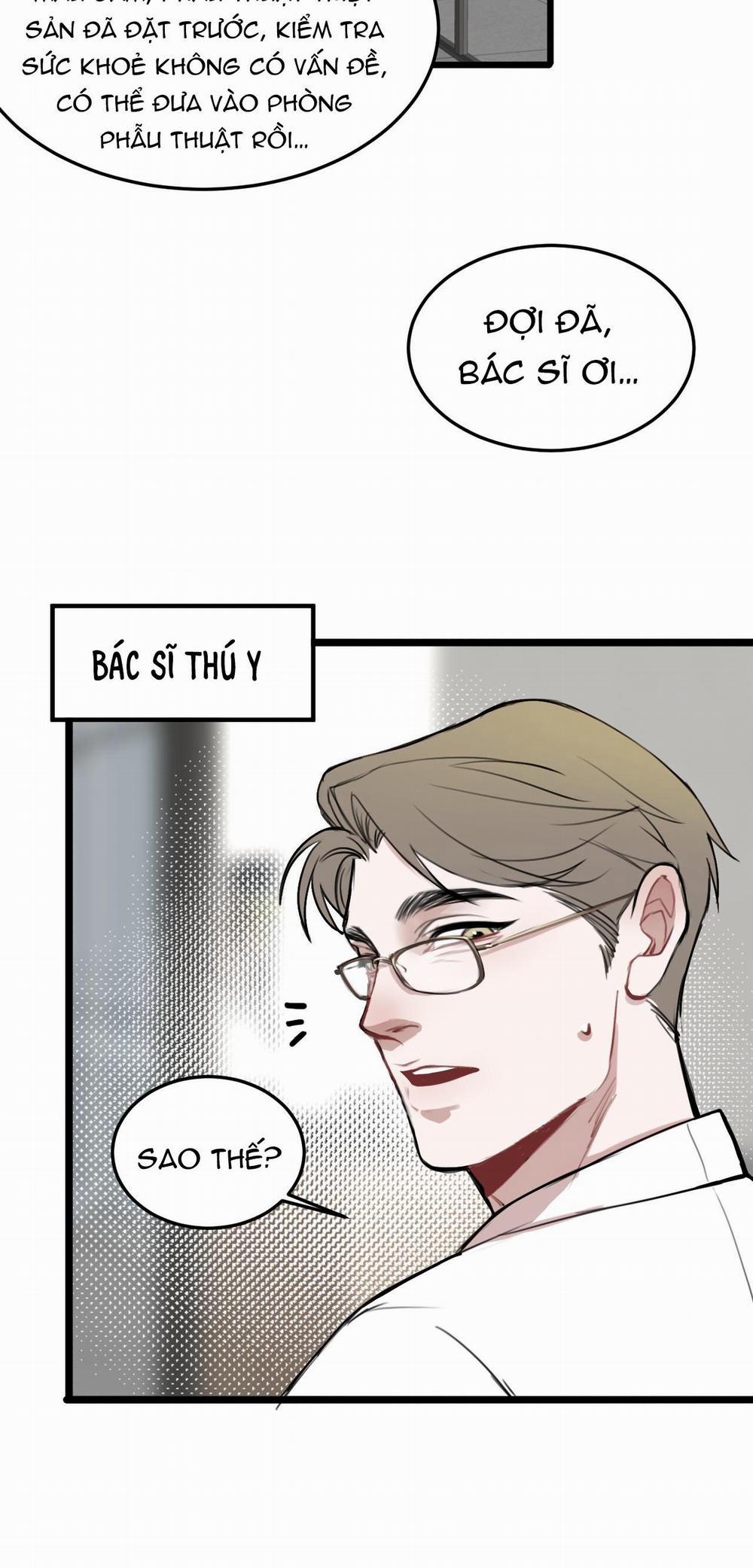 Rốt Cuộc Mèo Con Đang Nghĩ Gì Thế? 14 trang 15