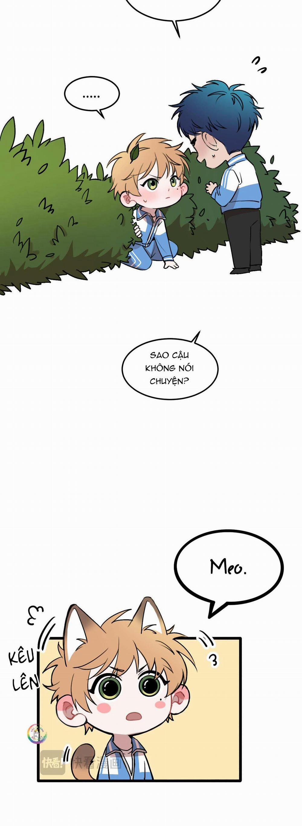 Rốt Cuộc Mèo Con Đang Nghĩ Gì Thế? 17 trang 11