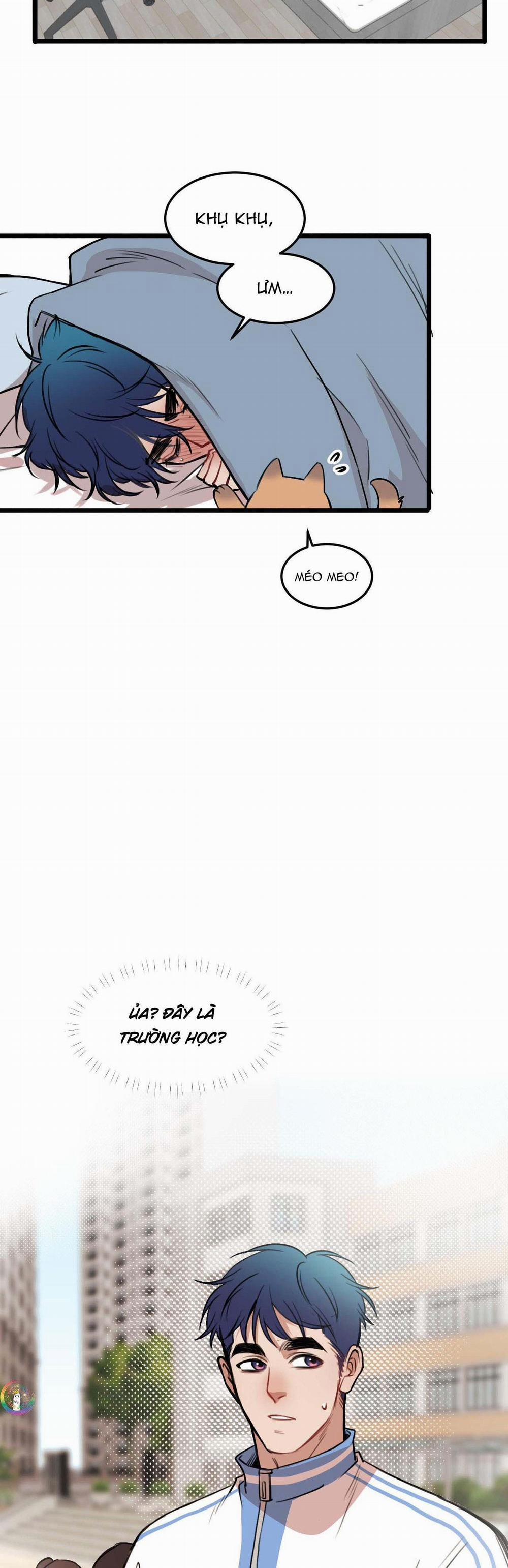 Rốt Cuộc Mèo Con Đang Nghĩ Gì Thế? 17 trang 5