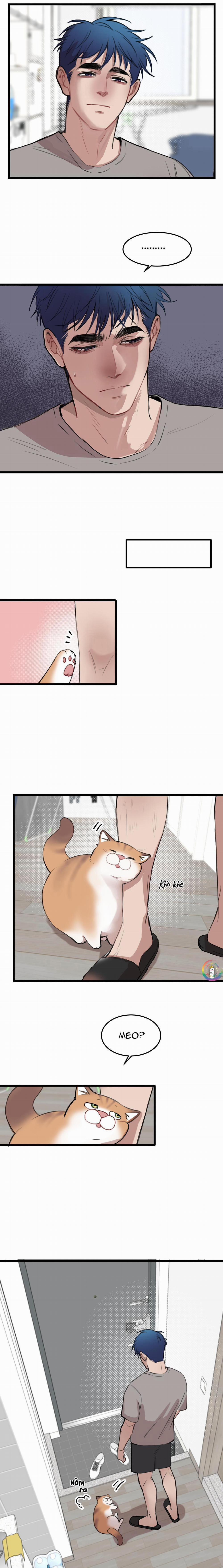 Rốt Cuộc Mèo Con Đang Nghĩ Gì Thế? 18 trang 5