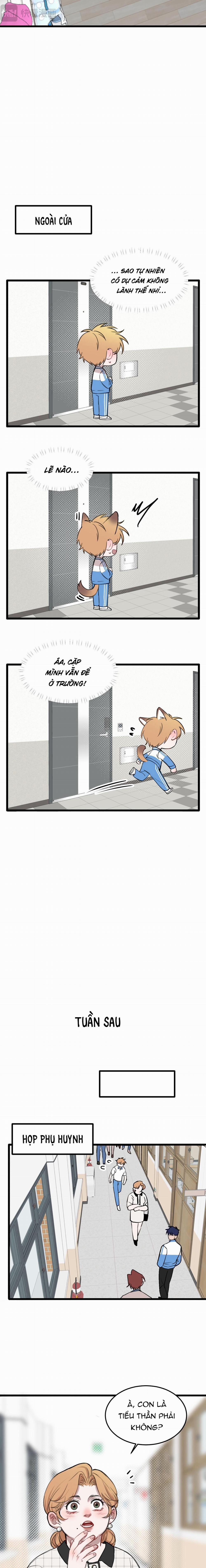 Rốt Cuộc Mèo Con Đang Nghĩ Gì Thế? 18 trang 6