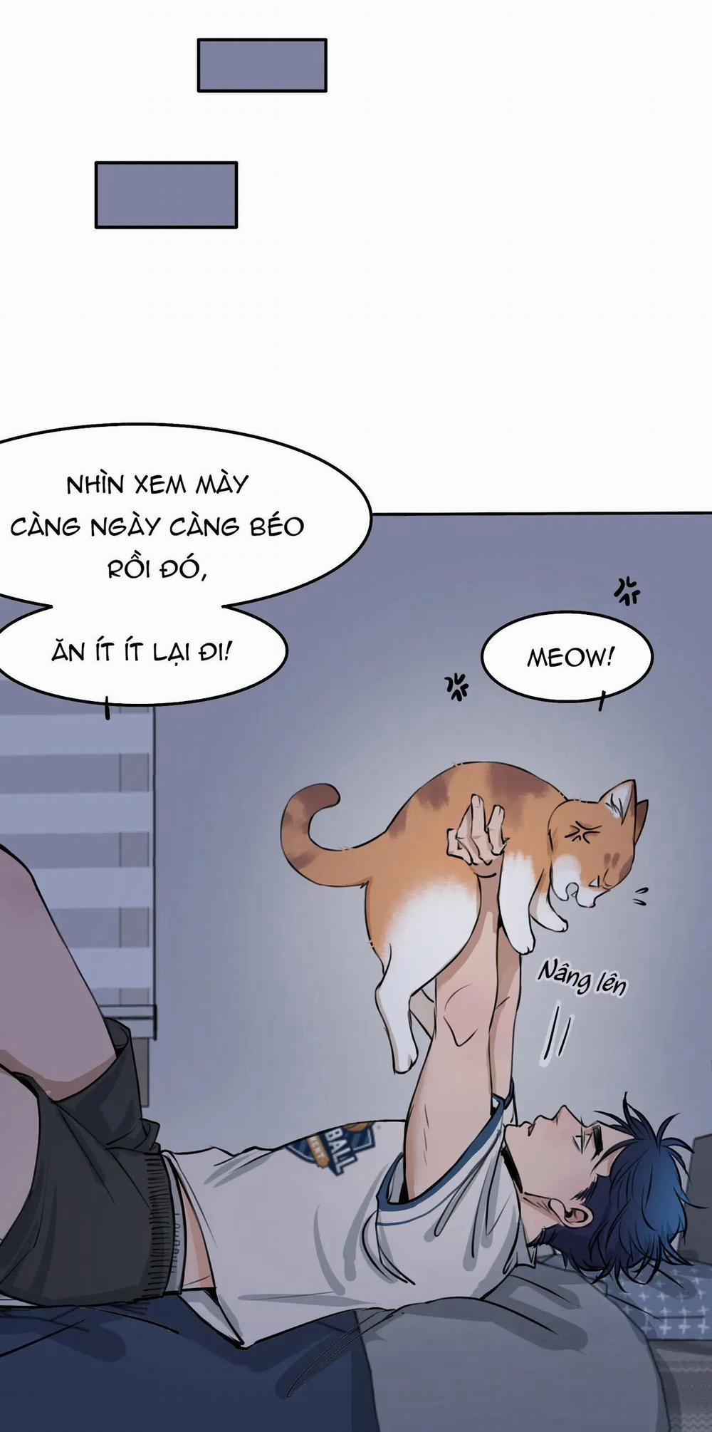 Rốt Cuộc Mèo Con Đang Nghĩ Gì Thế? 4 trang 13